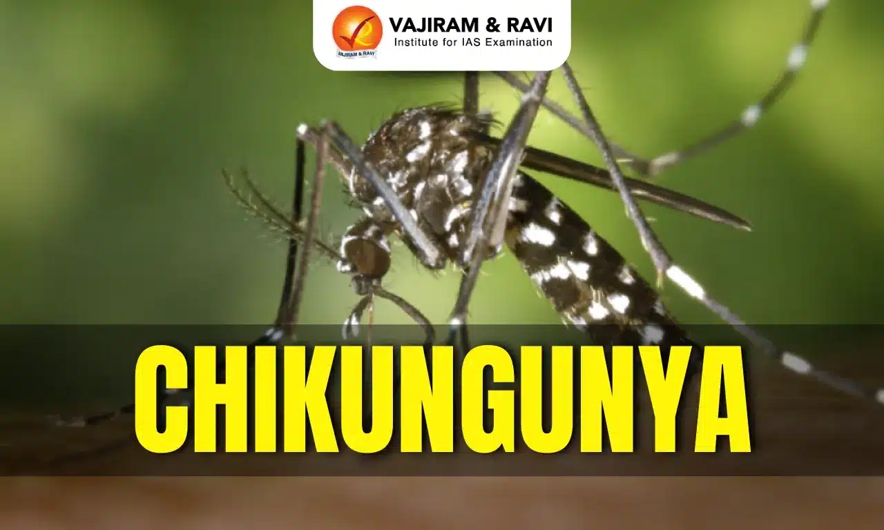 Chikungunya