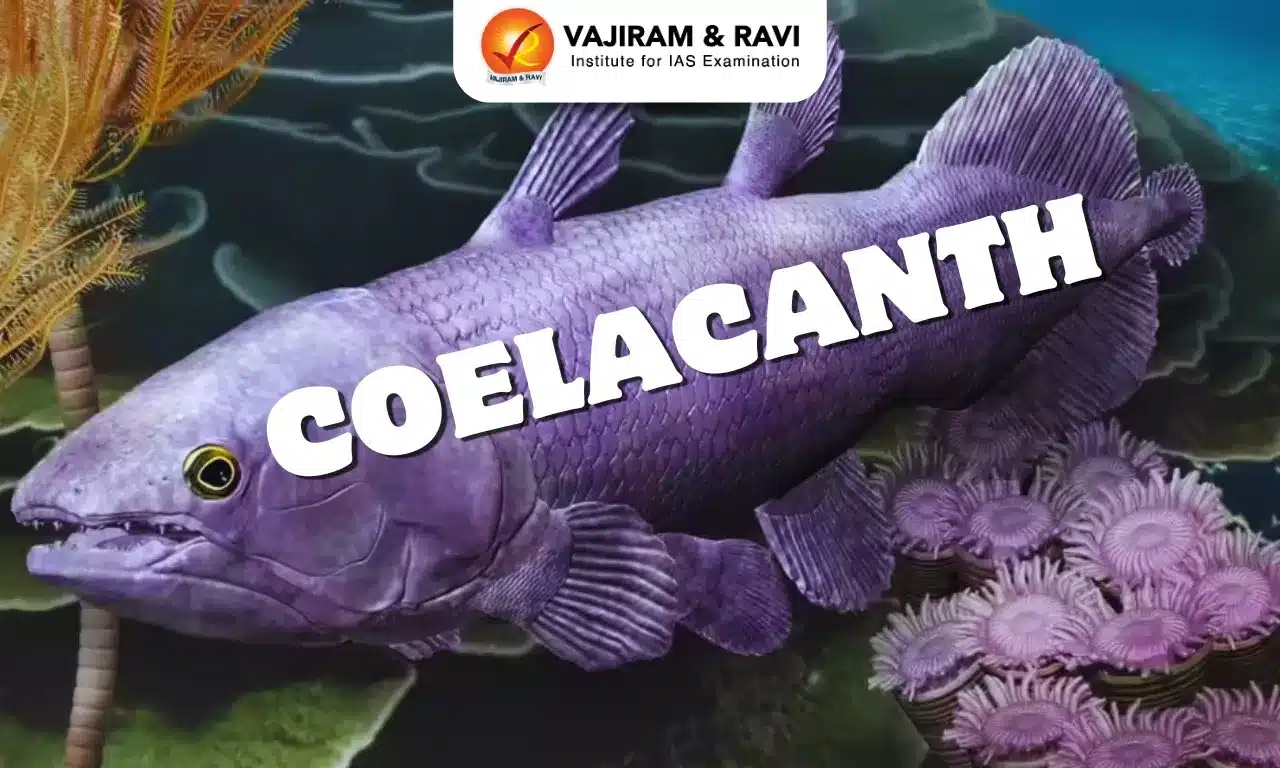 Coelacanth