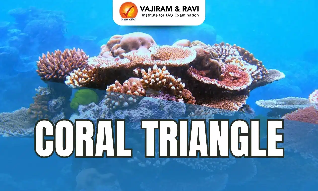 Coral Triangle