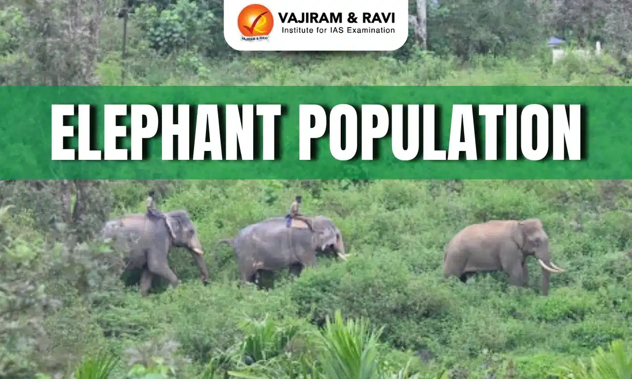 Elephant Population