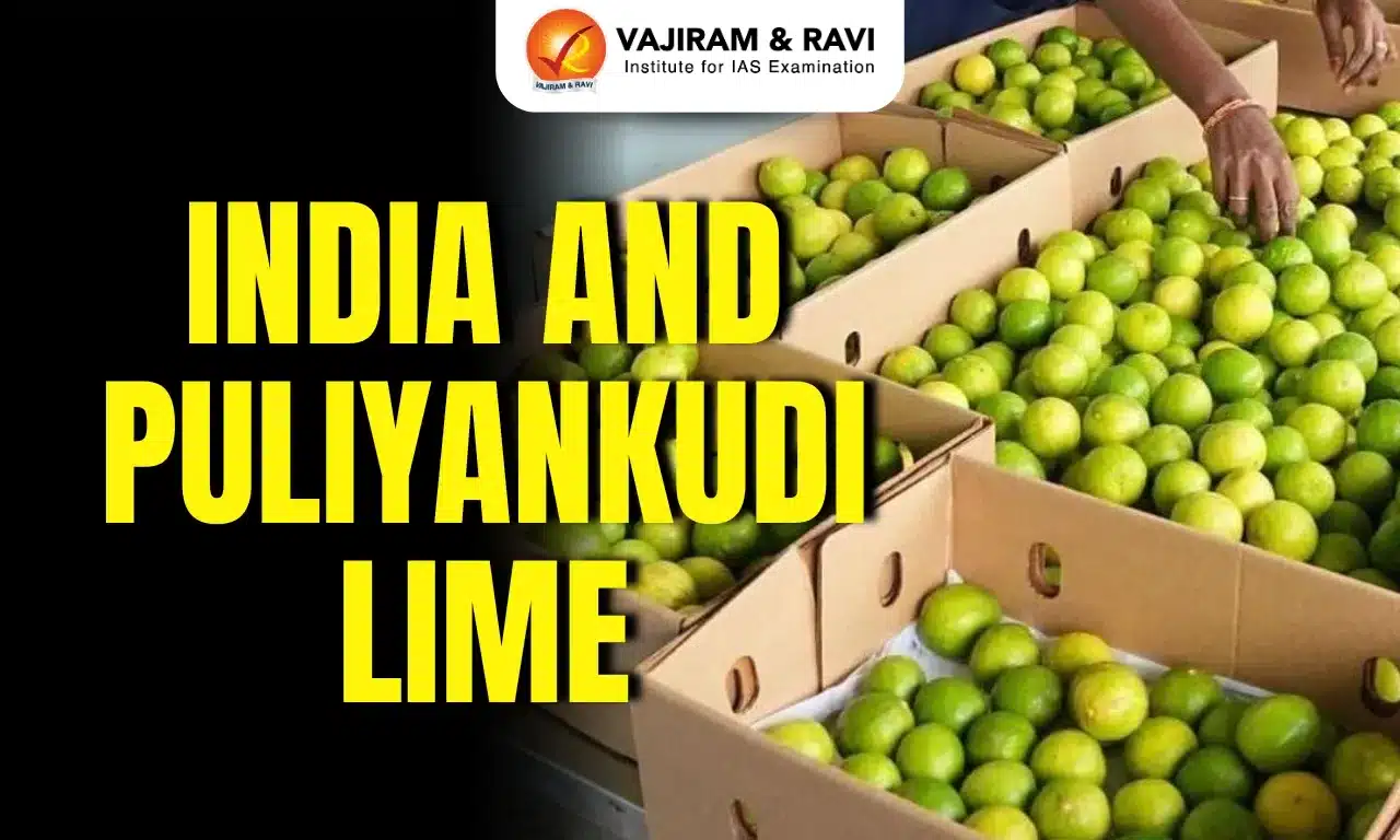 Indi and Puliyankudi Limes