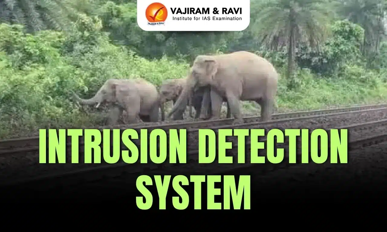 Intrusion Detection System
