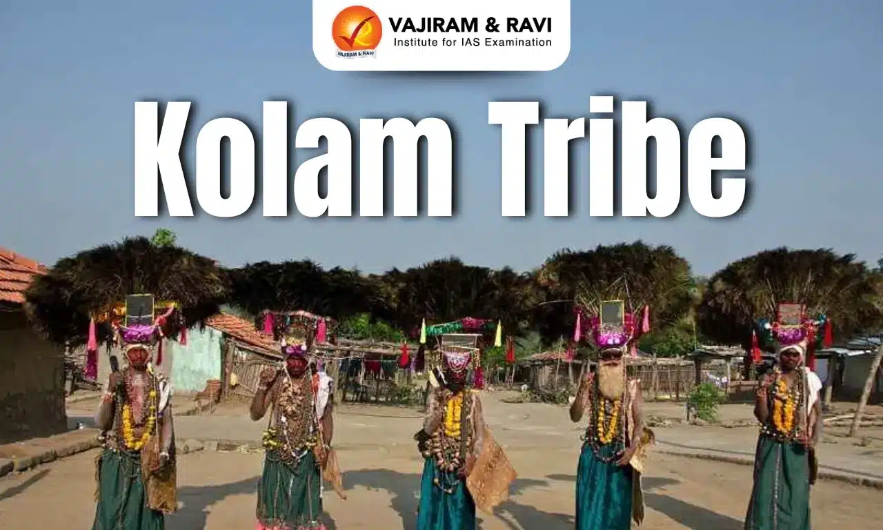Kolam Tribe