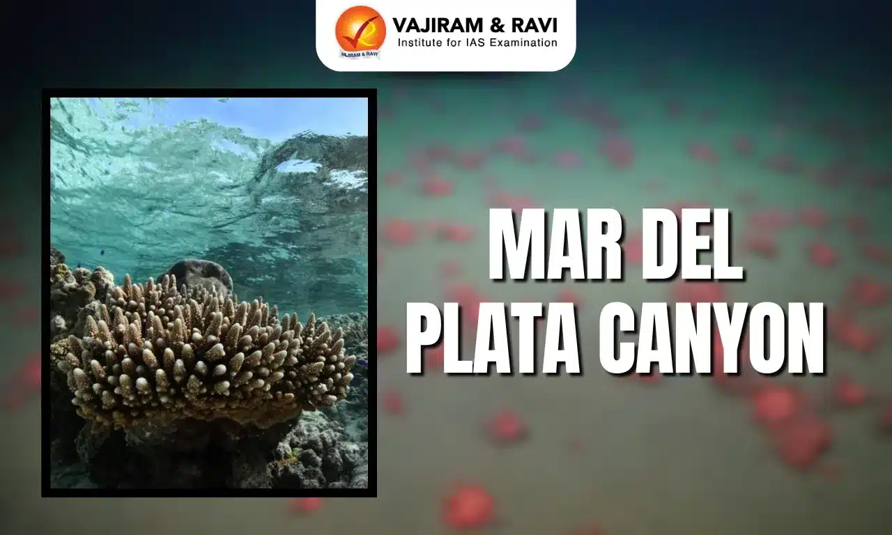 Mar del Plata Canyon