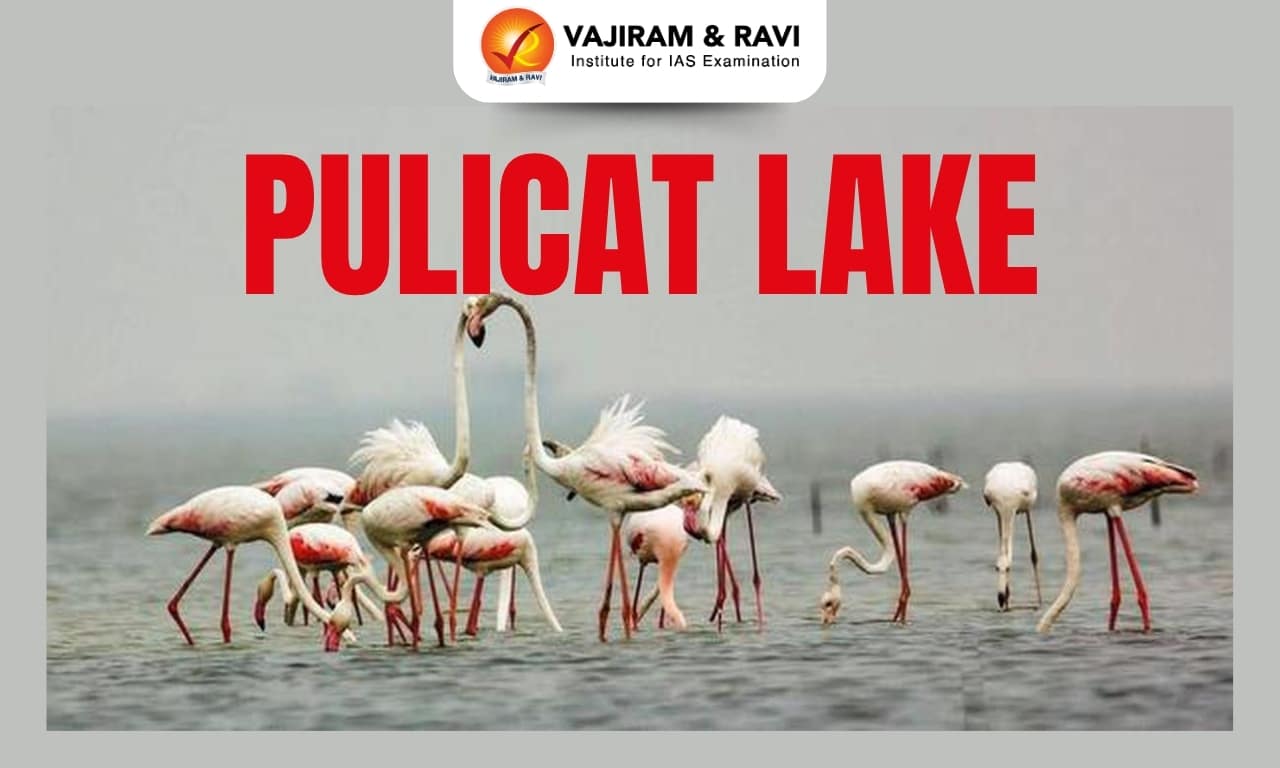 Pulicat Lake
