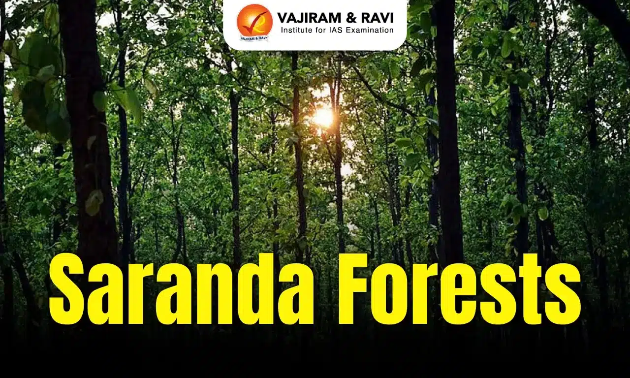Saranda Forests