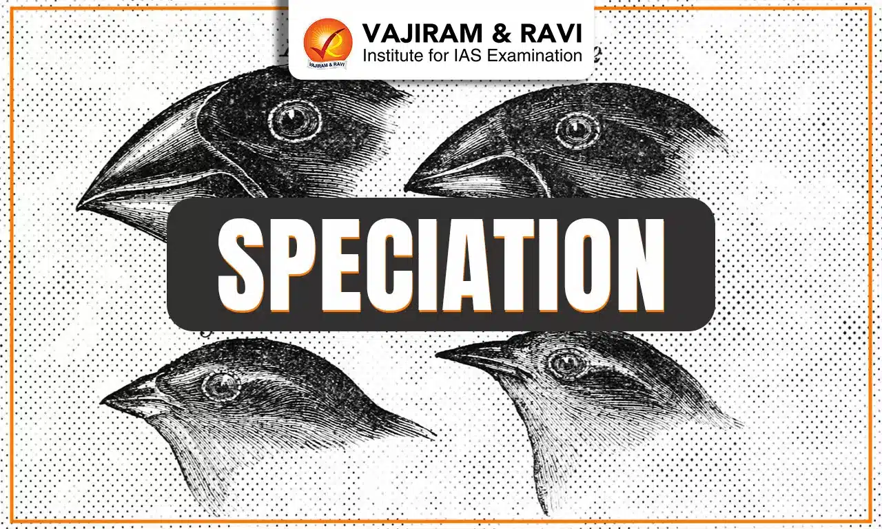 Speciation
