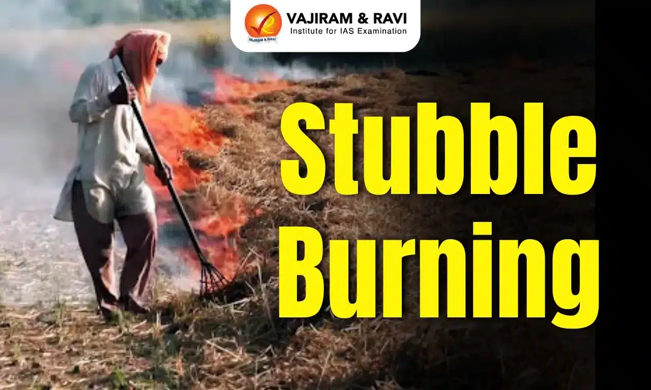 Stubble Burning