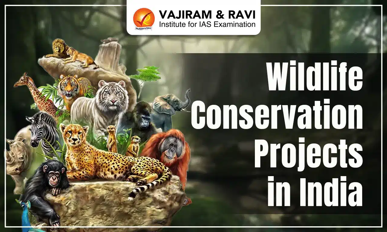 Wildlife Conservation Projects in India