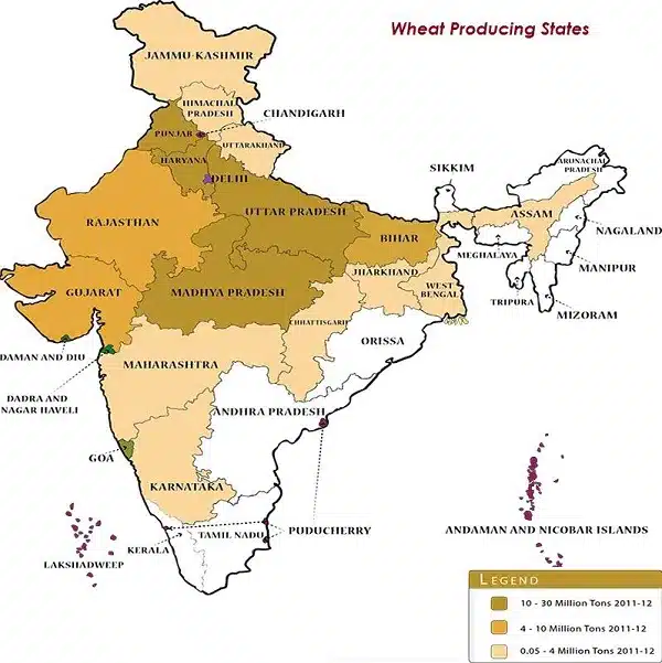 Wheat Cultivation in India Map