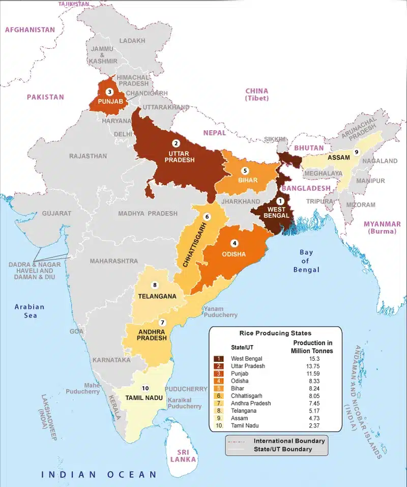 Rice Cultivation in India Map