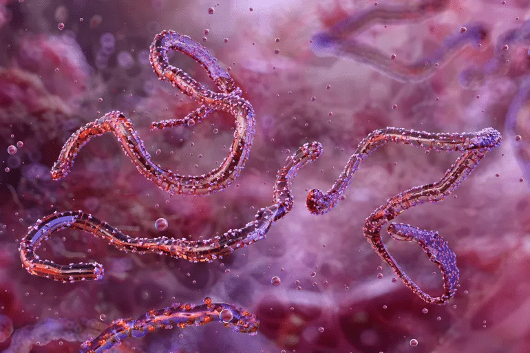 Marburg Virus Disease