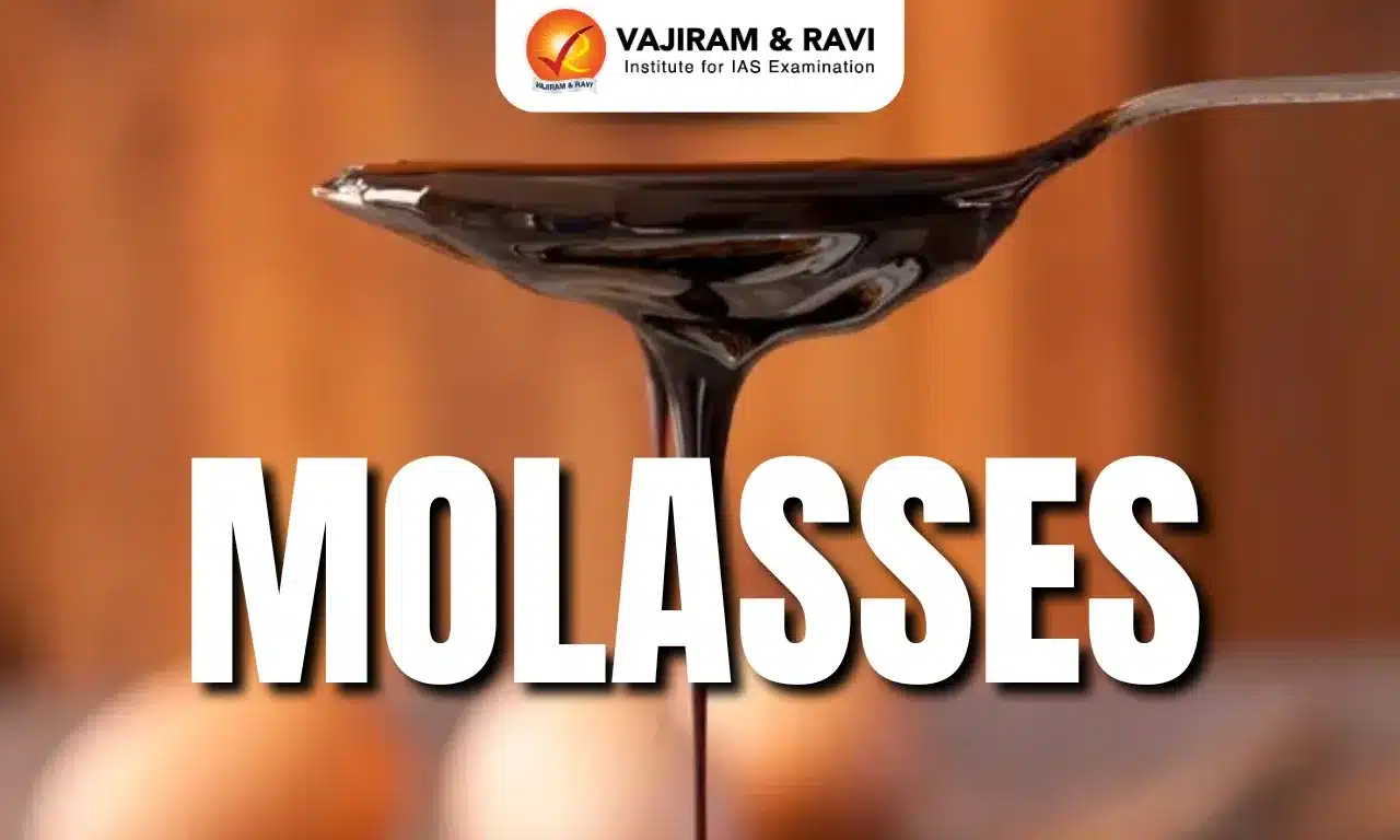 Molasses
