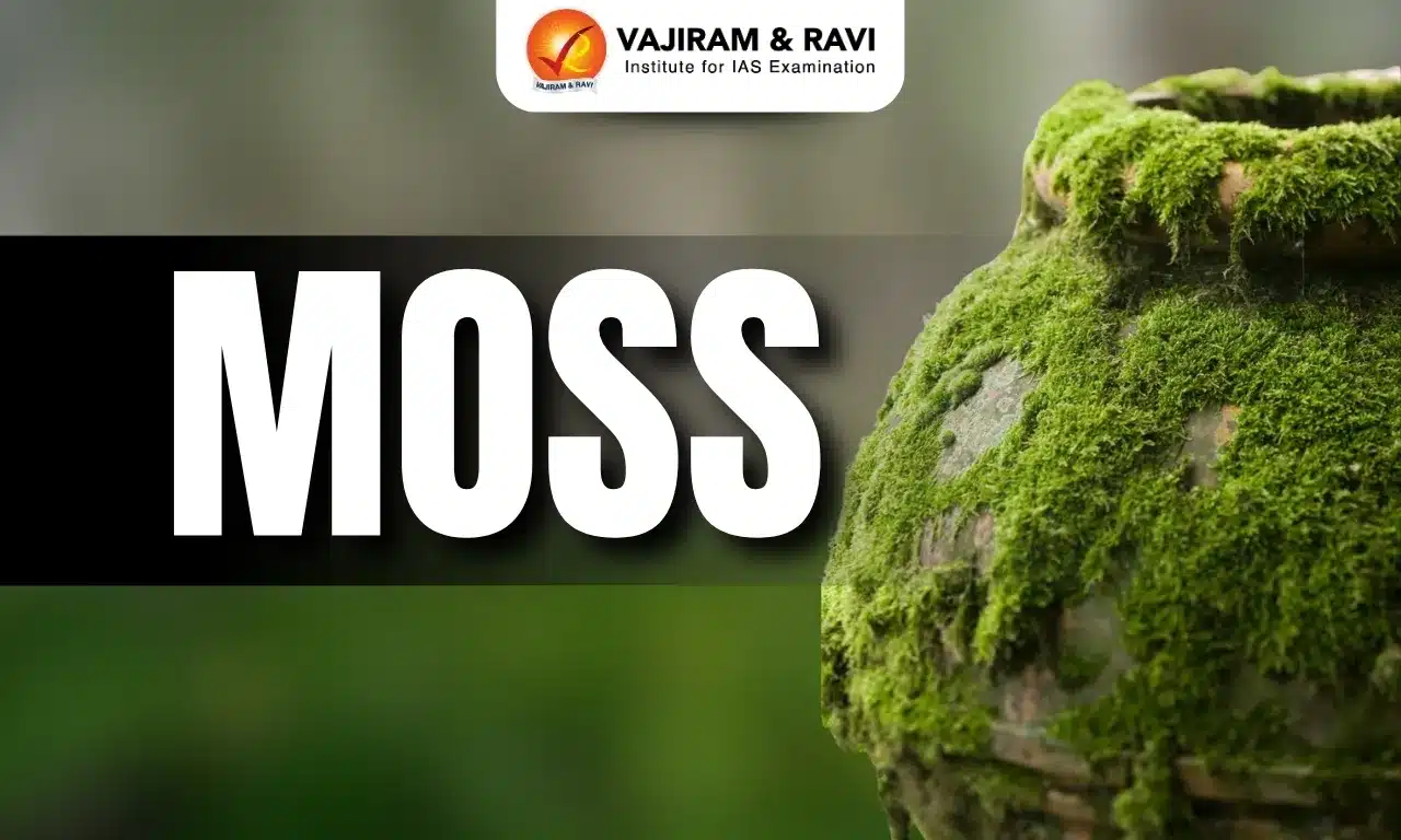 Moss