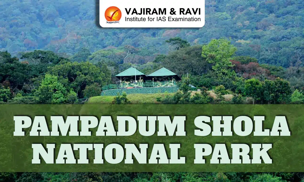 Pampadum Shola National Park