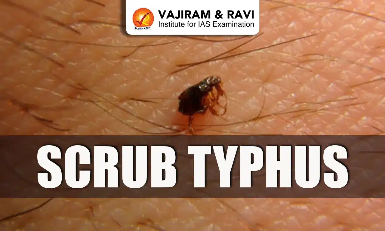 Scrub Typhus