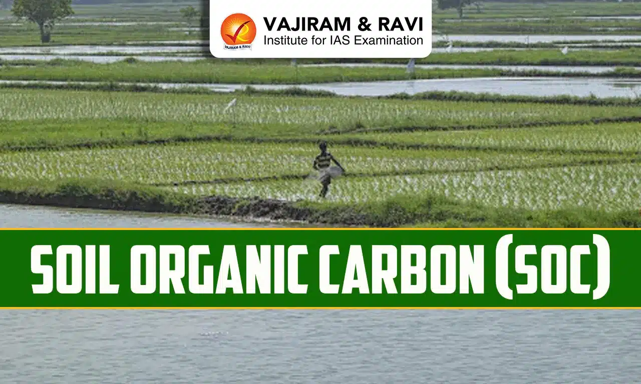 Soil Organic Carbon