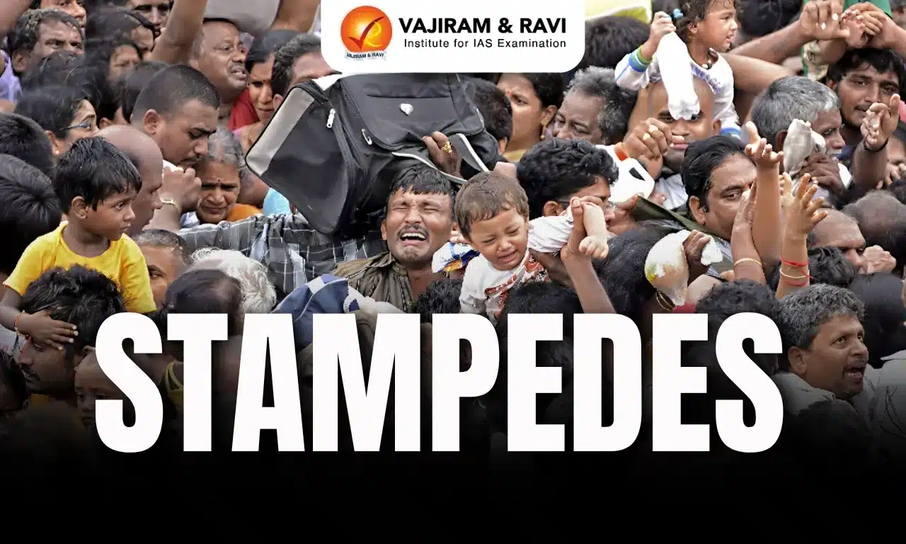 Stampedes
