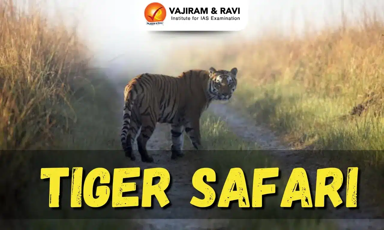 Tiger Safari