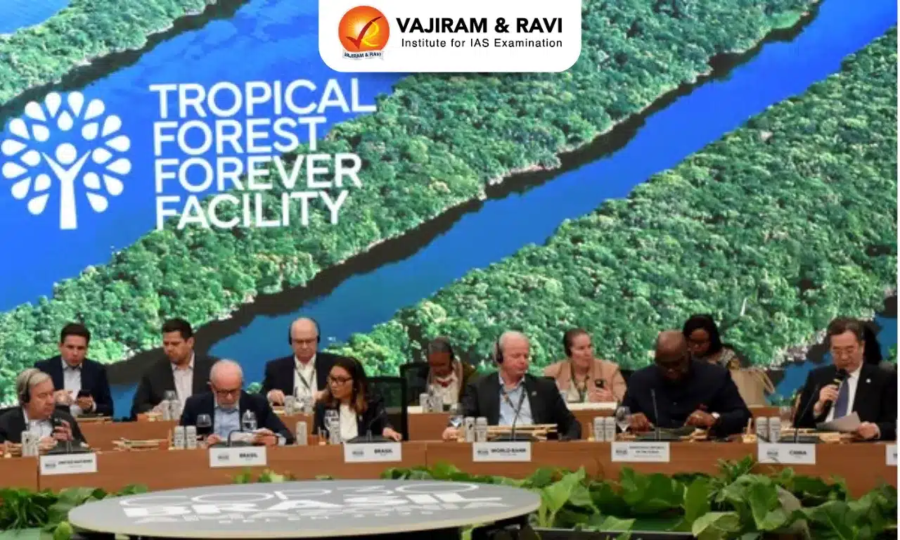 Tropical Forest Forever Facility