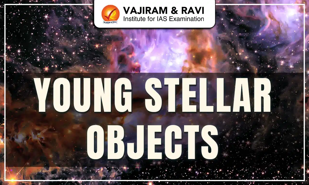 Young Stellar Objects