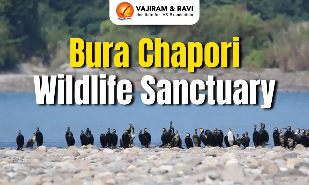 Bura Chapori Wildlife Sanctuary