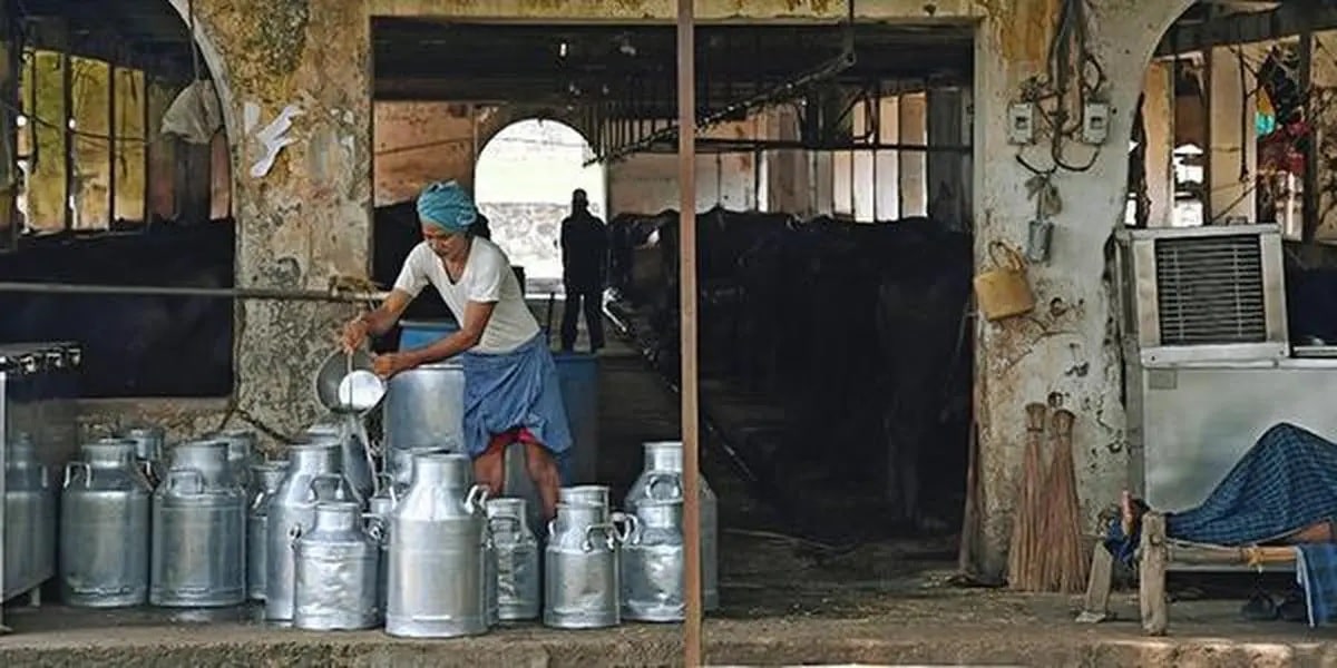 Circular Economy in India’s Dairy Sector