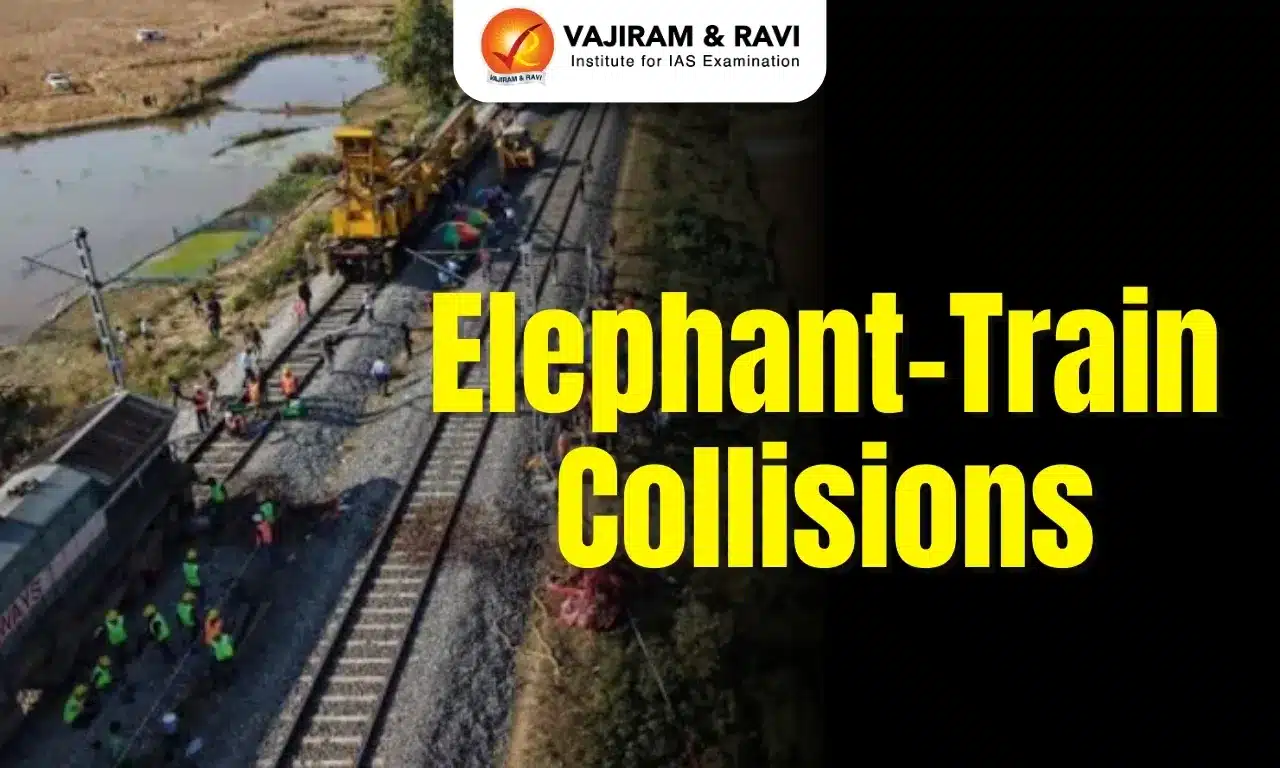 Elephant–Train Collisions