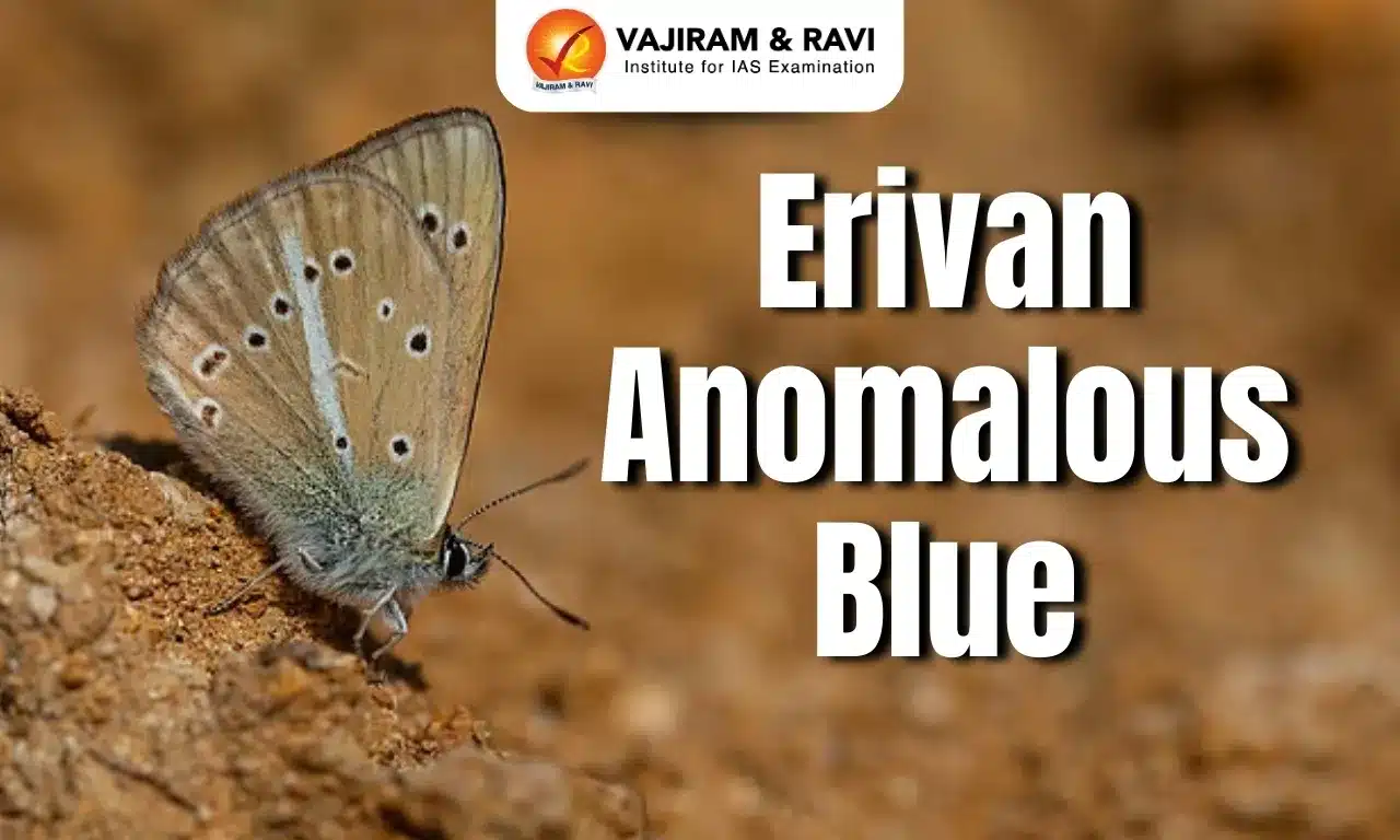 Erivan Anomalous Blue