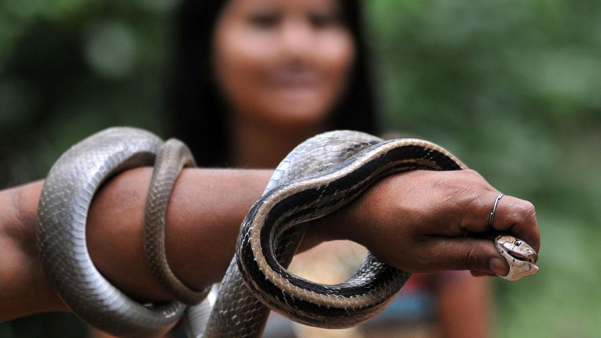 ICMR Adopts Demow Model for National Snakebite Prevention Strategy