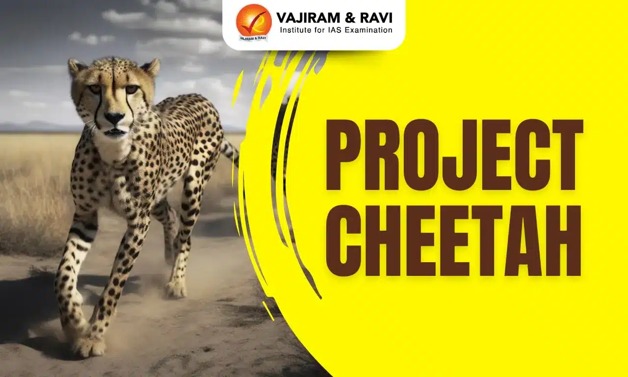 Project Cheetah