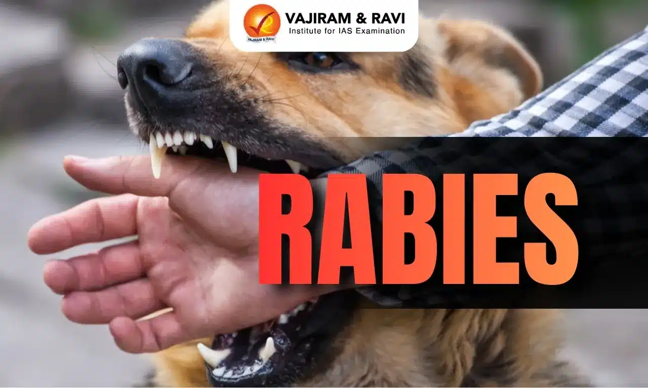 Rabies