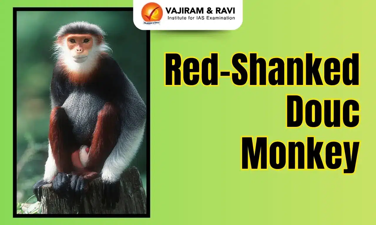 Red-Shanked Douc Monkey