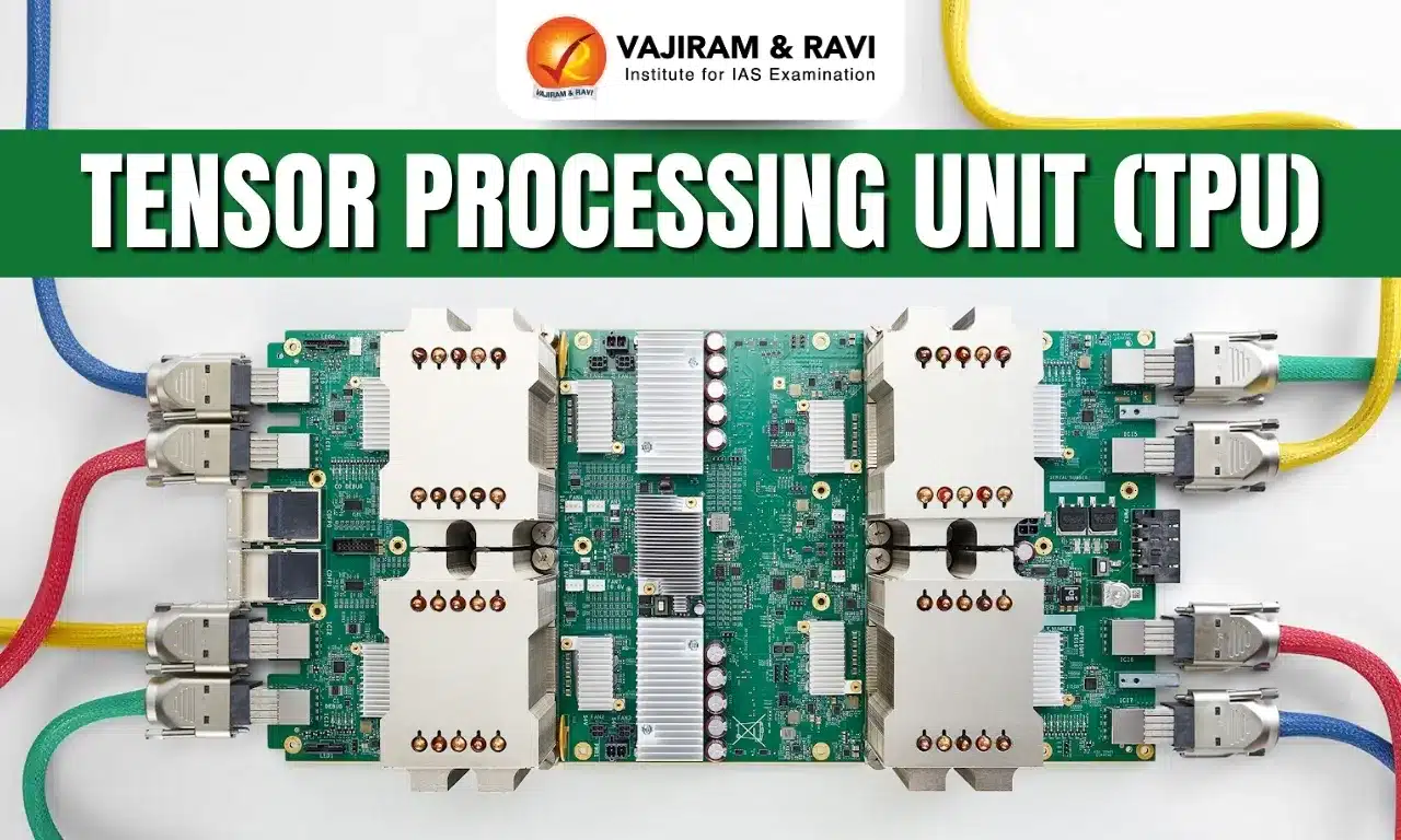Tensor Processing Unit (TPU)