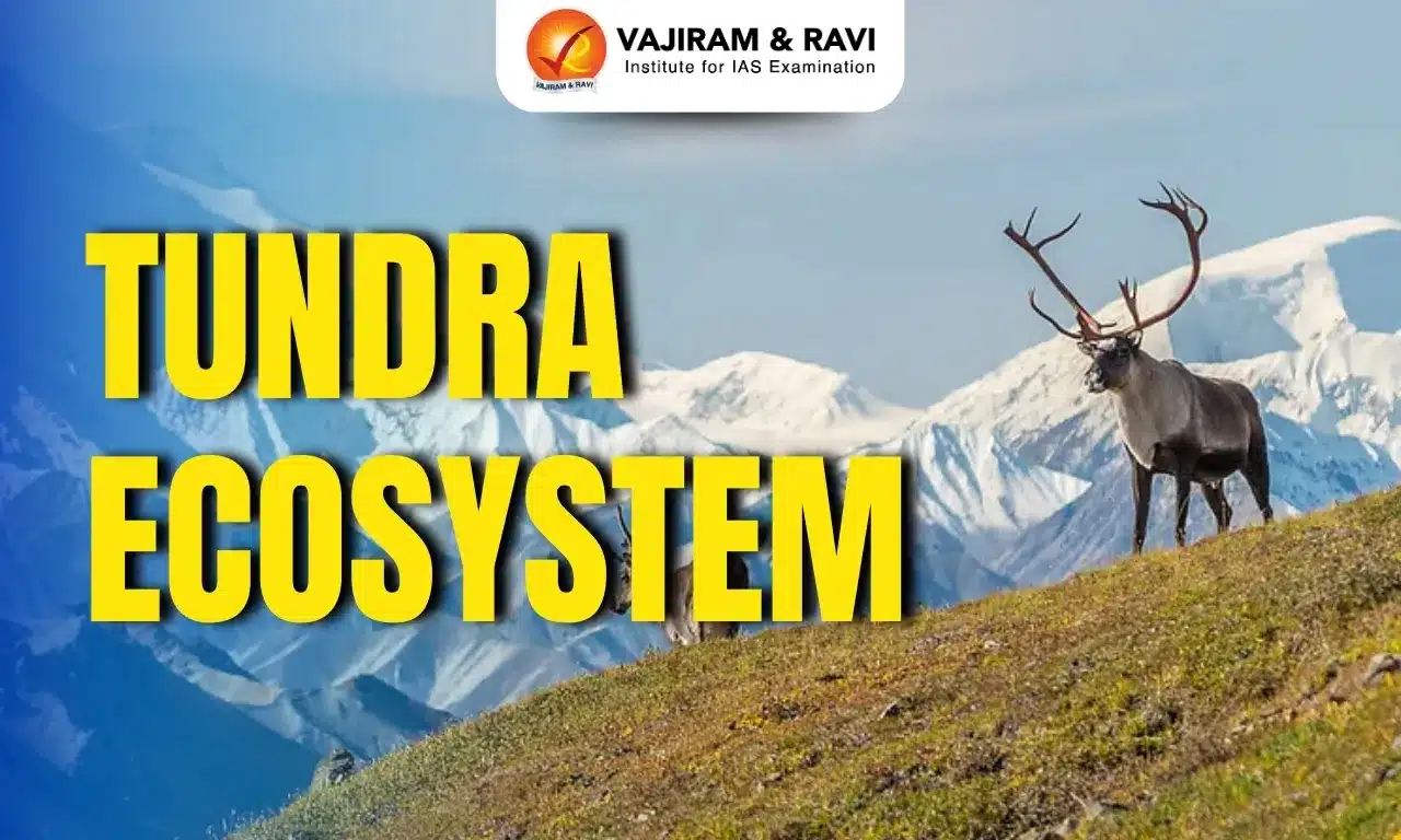 Tundra Ecosystem