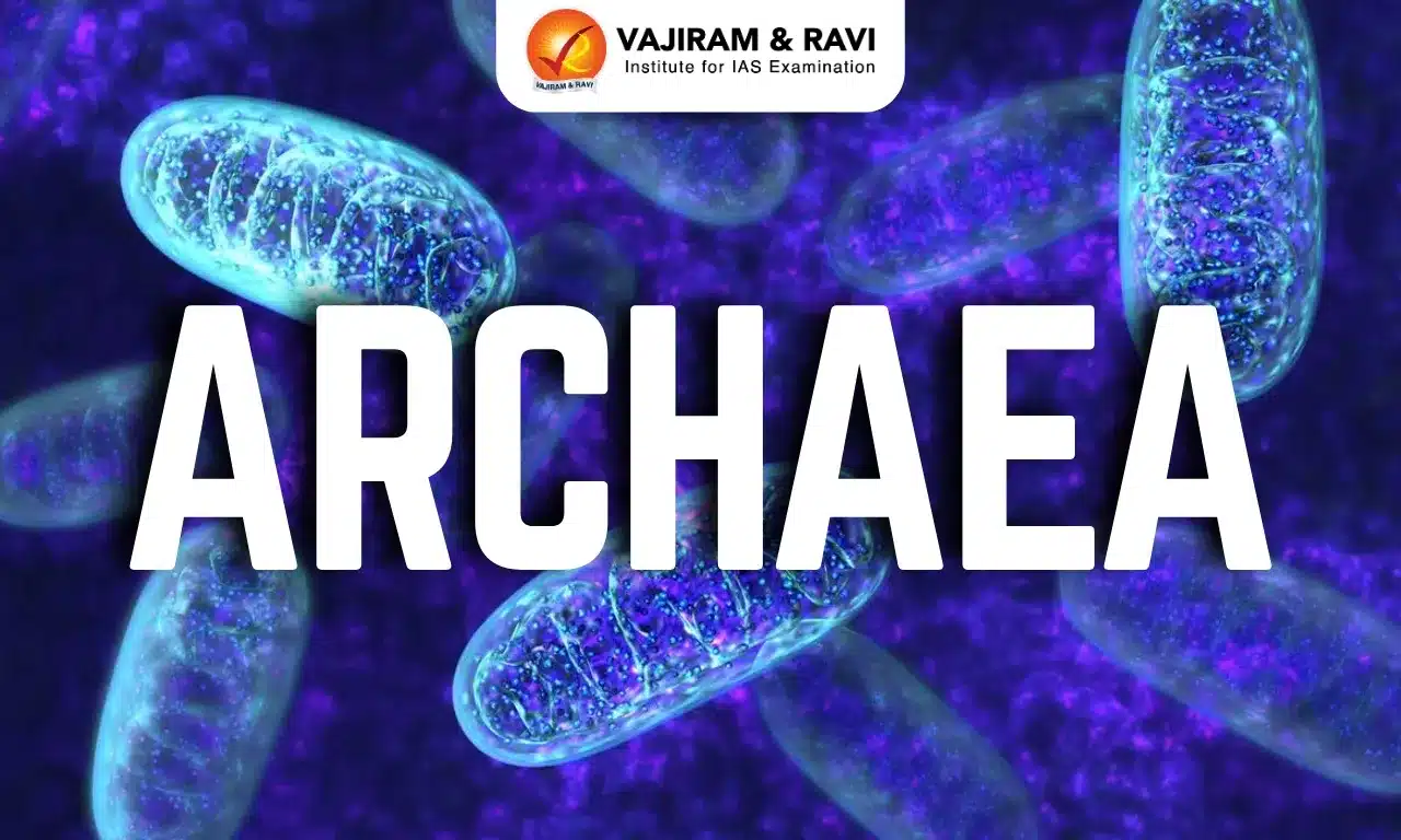 Archaea