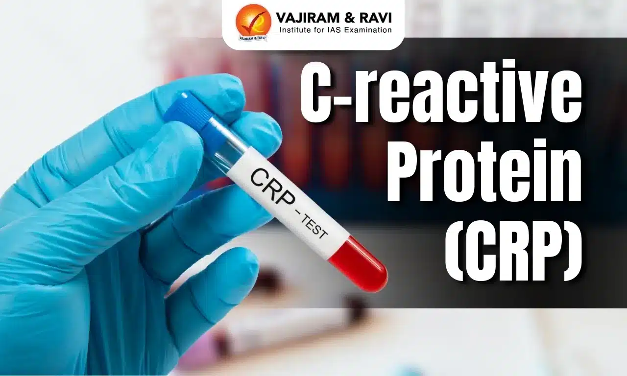 C-Reactive Protein (CRP)