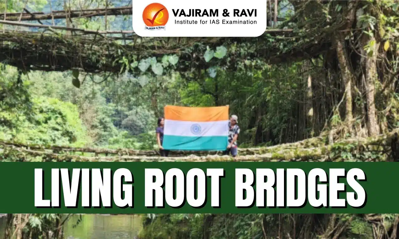 Living Root Bridge