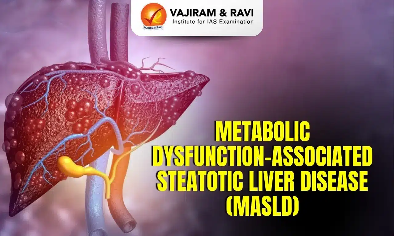 Metabolic Dysfunction-Associated Steatotic Liver Disease (MASLD)