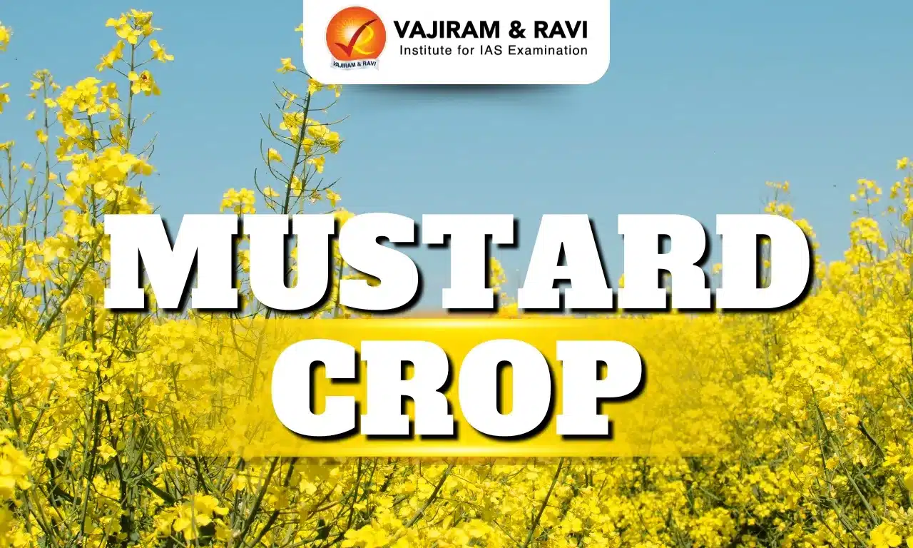 Mustard Crop