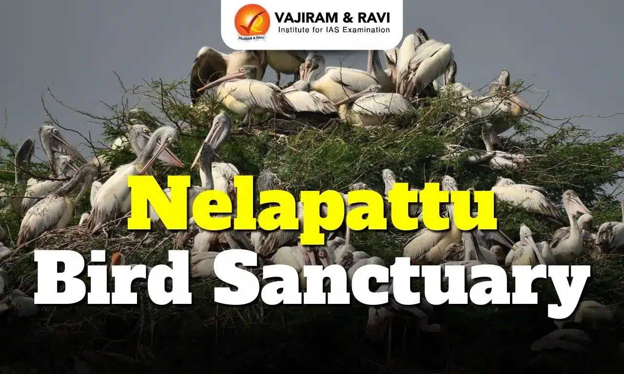 Nelapattu Bird Sanctuary