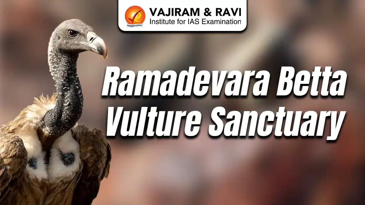 Ramadevara Betta Vulture Sanctuary