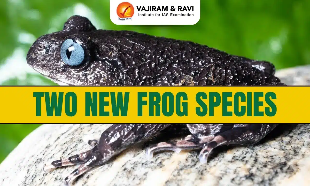 Two New Frog Species