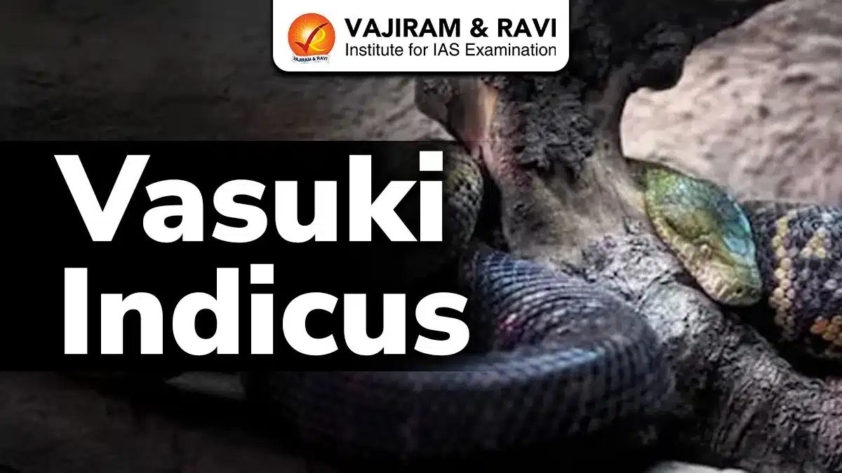 Vasuki Indicus
