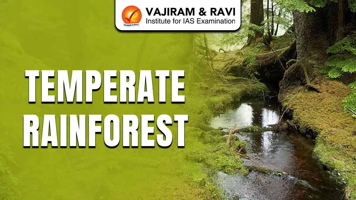 Temperate Rainforest