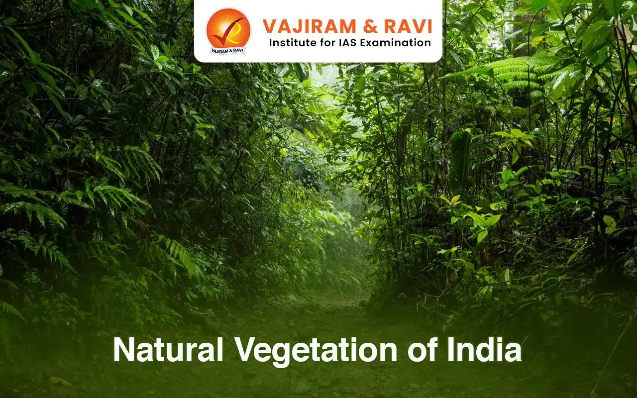 Natural Vegetation of India