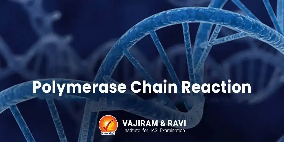Polymerase Chain Reaction