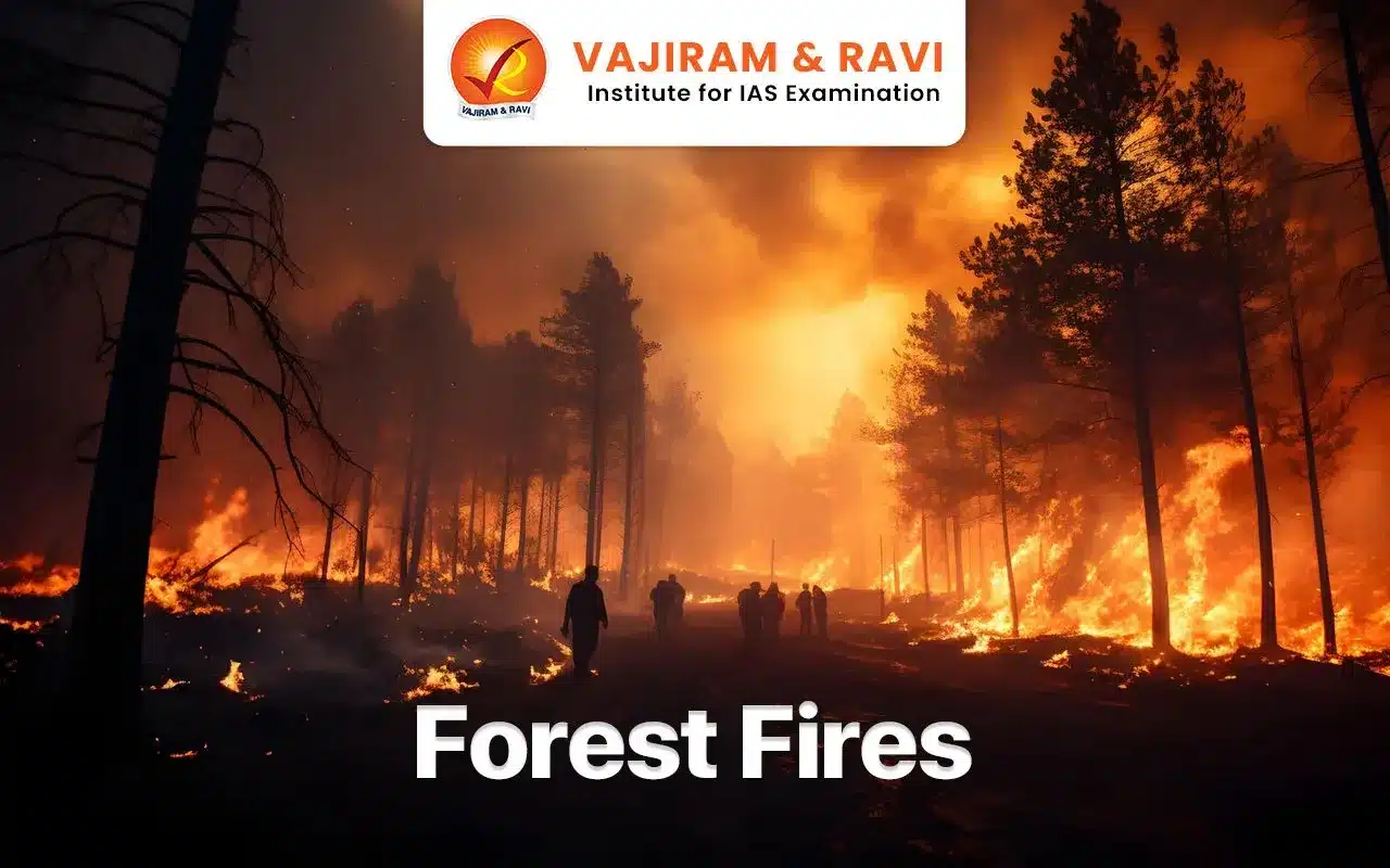 Forest Fires in India