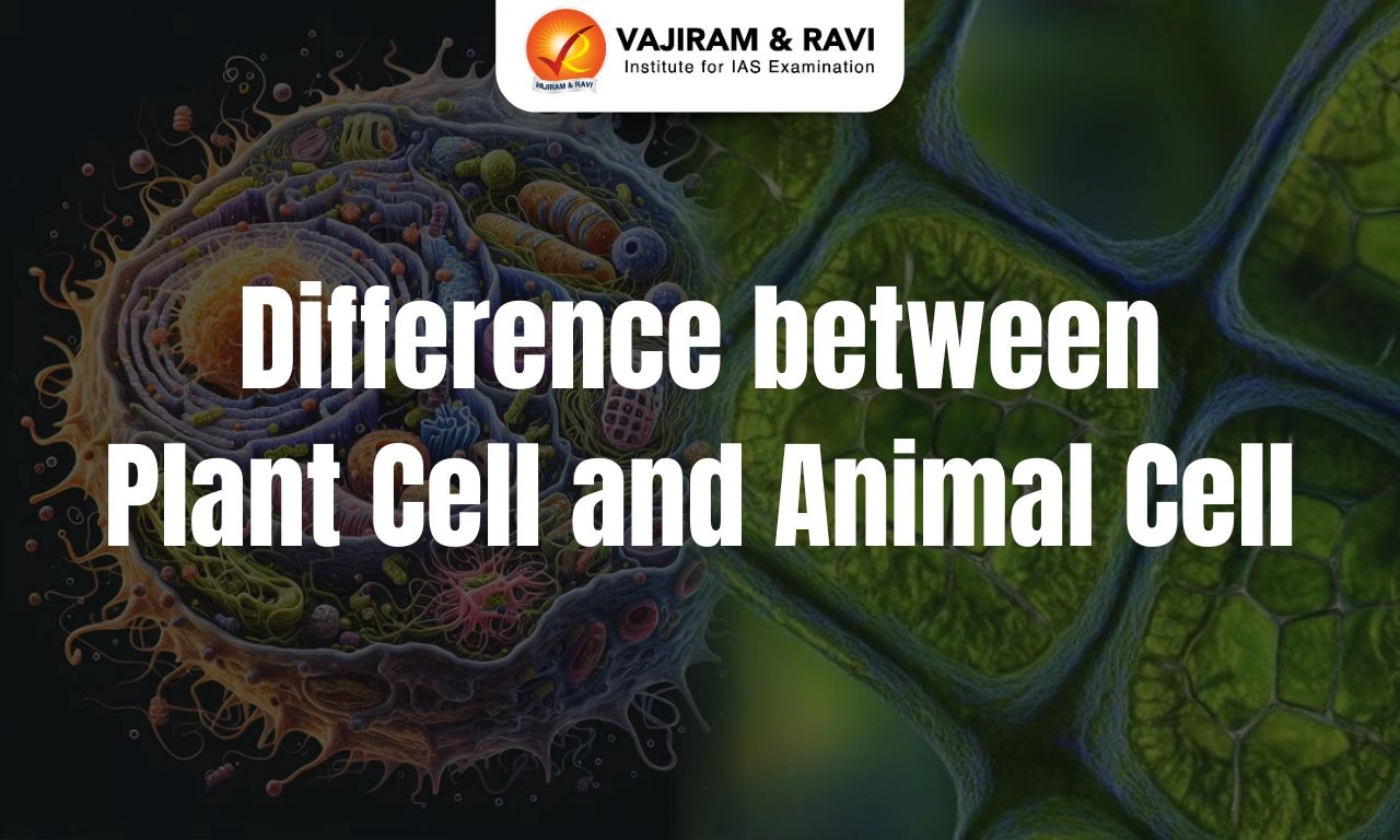 Difference between Plant Cell and Animal Cell