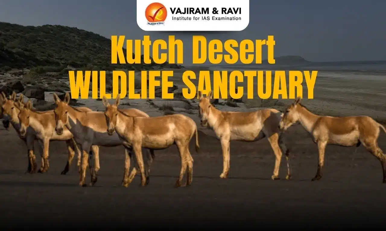Kutch Desert Wildlife Sanctuary